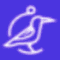 Logo for Perch Insights