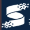 Logo for Shanghai Data Exchange
