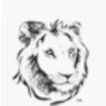 Logo for Hausela