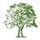 Logo of Sycamore Partners