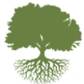 Logo for Treetop Ventures