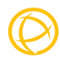 Logo for Perle  Systems