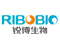 Logo for RiboBio