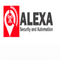 Logo for Alexa Security