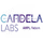 Logo for Candela Labs