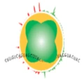 Logo for Eclipse Bio