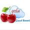 Logo for Geelus