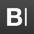 Logo for Beskid Instruments