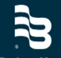 Logo for Badger Meter