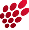 Logo for Razberi Technologies