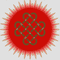 Logo for Ucha Kombucha