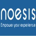 Logo for Noesis Solutions