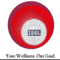 Logo for International Stemcell Services