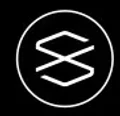 Logo for USDX
