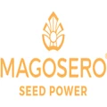 Logo for Magosero