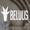 Logo for Beluus