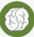 Logo for Concordia LL