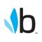 Logo for Bumbleride