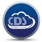Logo for CDS
