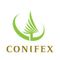 Logo for Conifex Timber