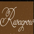 Logo for A1 Software