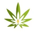 Logo for Aarogya CBD