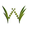 Logo for AmWel