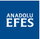 Logo of Anadolu Efes