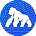 Logo for ApeChain