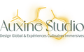 Logo for Auxine