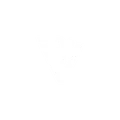 Logo for Bass Visuals