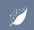 Logo for Bayforest Analytics