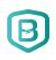 Logo for Biddano