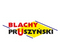 Logo for Pruszynski