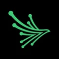 Logo of Black Kite