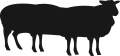 Logo for Black Sheep