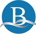 Logo for Blue View