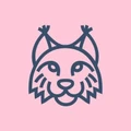 Logo for Bobcats Coding (acquired by Attrecto)