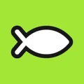 Logo for Brainfish