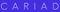 Logo for CARIAD