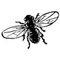 Logo for Diane James Designs
