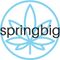 Logo for SpringBig