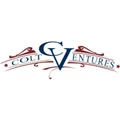 Logo for Colt Ventures