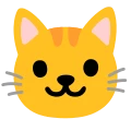 Logo for Coverage Cat