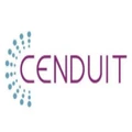 Cenduit (india) Services Private Limited 2025 Company Profile