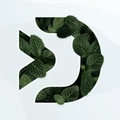 Logo of Digiphy