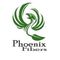 Logo for Phoenix Fibers