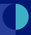 Logo for Propel Global