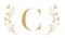 Logo for Weddings by Chiara