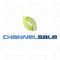 Logo for ChannelSale